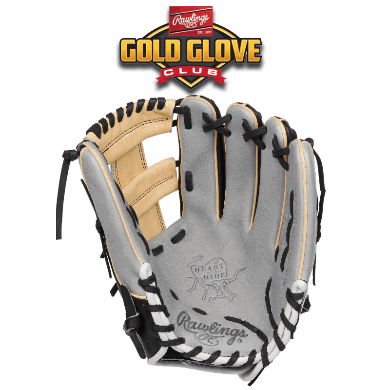 Rawlings Gold Glove Club - February 2020 (PRO2175-13GBC