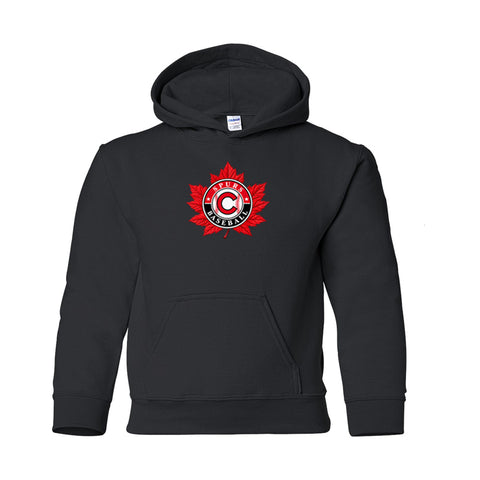 GILDAN® Heavy Blend™ Hoodie - Youth (Cloverdale Minor Baseball)