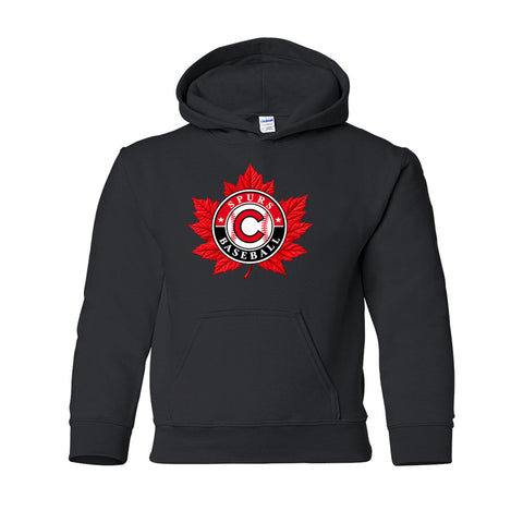 GILDAN® Heavy Blend™ Hoodie - Youth (Cloverdale Minor Baseball)