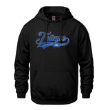 Vault Pullover Hooded Sweatshirt (Aldergrove Community)