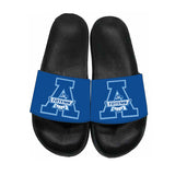 Custom Slides (Aldergrove Community)