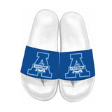 Custom Slides (Aldergrove Community)