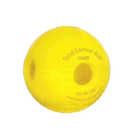 Total Control Sports Standard Weighted Hole Baseball Training Balls
