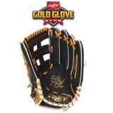 Rawlings Gold Glove Club - September 2020 (PRO3039-6BT)