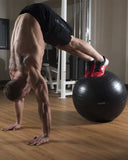 CORE FX Ani-Burst Stability Ball