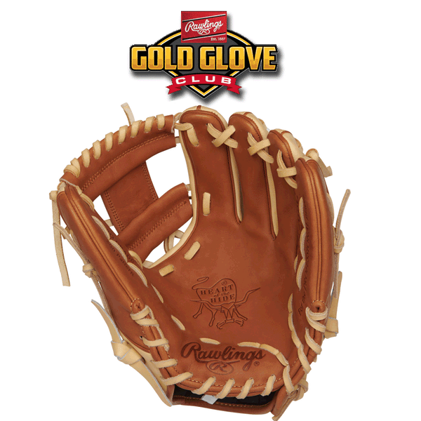 Rawlings Gold Glove Club - December 2018 (PRO204-2GBC) – Prostock
