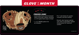Rawlings Gold Glove Club - December 2018 (PRO204-2GBC)