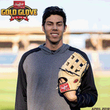 Rawlings Gold Glove Club - April 2019 (PRO3039-6C)