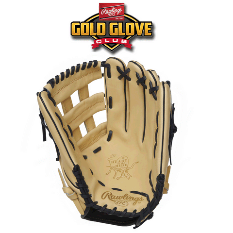 Rawlings Gold Glove Club - April 2019 (PRO3039-6C)