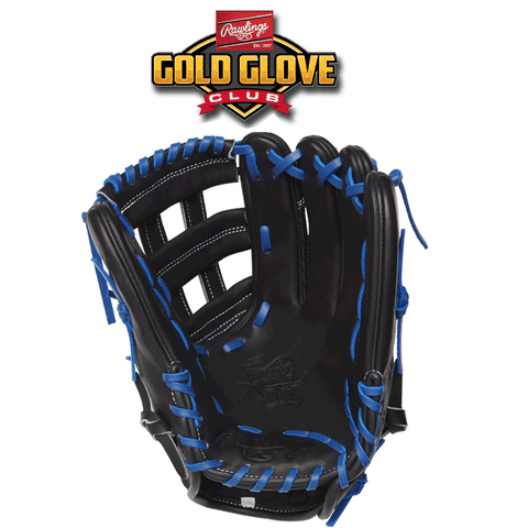 Rawlings Gold Glove Club - May 2019 (PROKB17-6BMR)