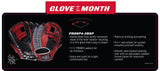Rawlings Gold Glove Club - March 2019 (PRONP4-2BSP)
